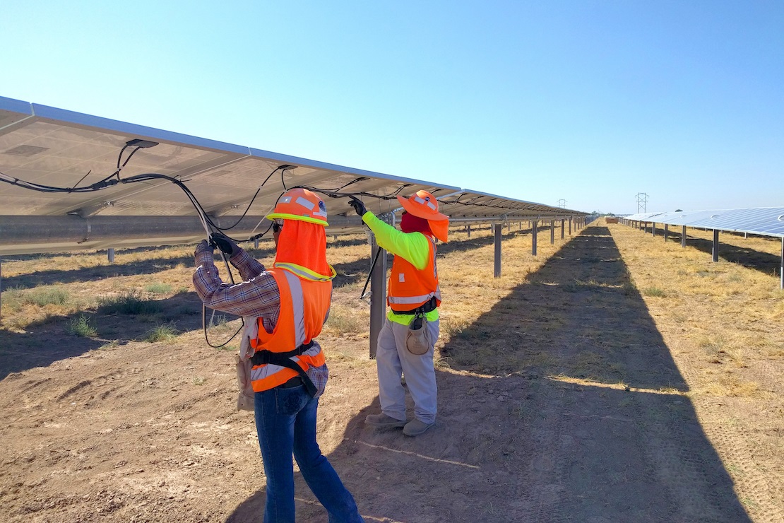 Employees connecting cable harnesses under solar panels in a commercial solar field